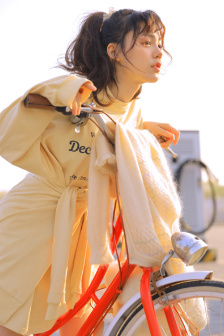 雏菊